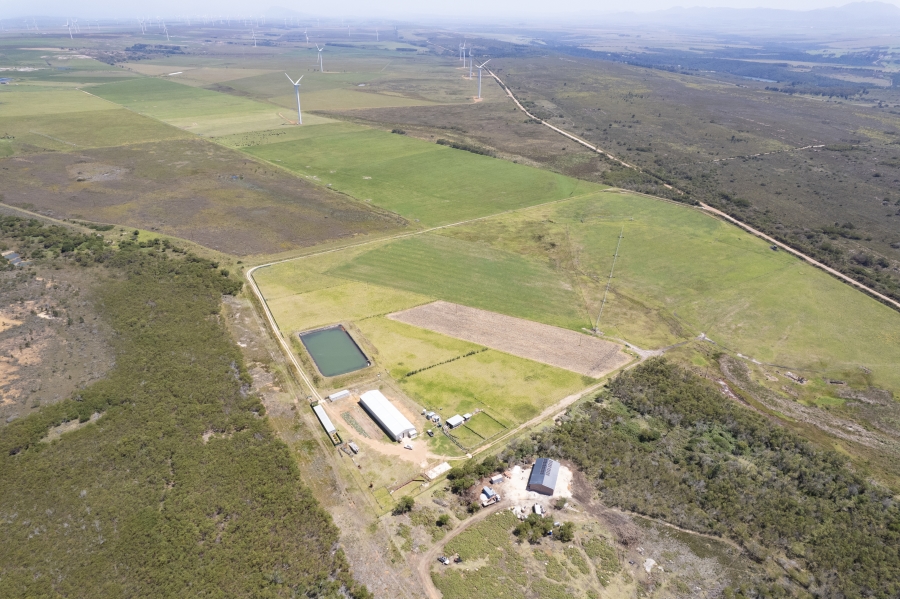 0 Bedroom Property for Sale in St Francis Bay Eastern Cape